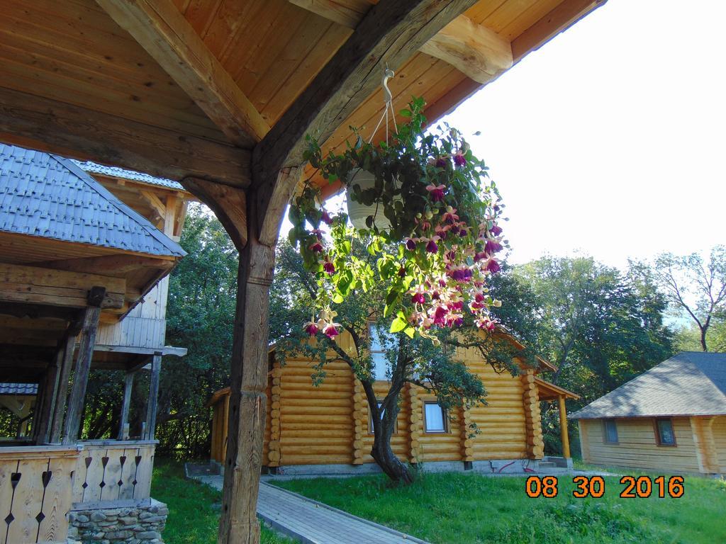 Casutele Din Moisei Hotel Exterior photo